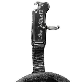 Carter Enterprises Like Mike II Release
