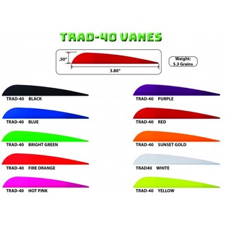 AAE Trad Vanes 50pk