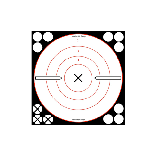 Birchwood Casey Shoot.N.C 8" Target