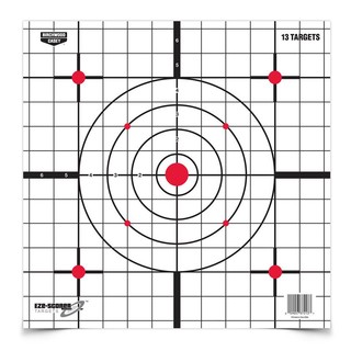 Birchwood Casey EZE-Scorer sight in target 12"